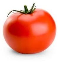 Fresh Tomato