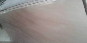 Golden Fantasy Quartzite Stones