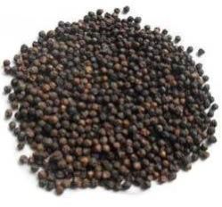Black Pepper Seeds