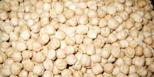 White Chickpeas