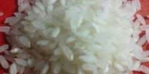 Sona Masuri Rice