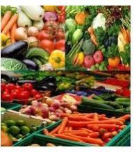 Fresh Vegetables