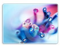 Single & Multi Core Flexible Cables