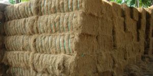 Coir Golden Brown Fiber