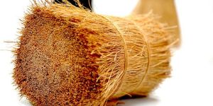 Natural Bristle Fiber