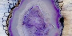agate slices / costar / nobe