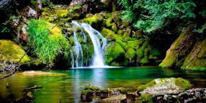 Non-Woven 3d Waterfall Wallpaper