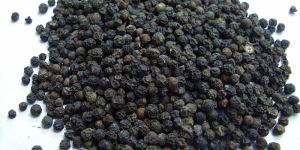Black Pepper Seeds