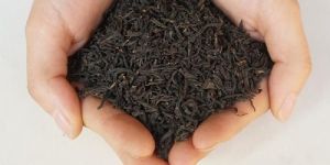 Black Tea Leaves