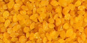 Golden Raisins