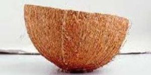Coconut Shells