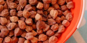 Black Chickpeas
