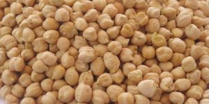 Kabuli Chickpeas