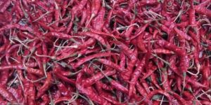 Red Chilli (Byadgi)
