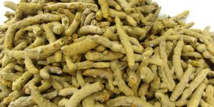 Turmeric Finger (Single Polish)