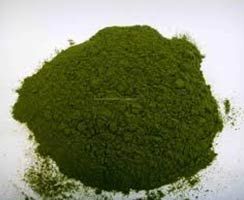 Alfalfa Powder