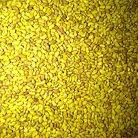 Alfalfa Seeds