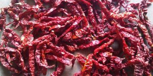 Dry Red Chilli