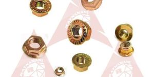 Brass Flange Nuts