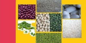 Rhizobium Biofertilizer