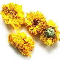 Chrysanthemum Flower