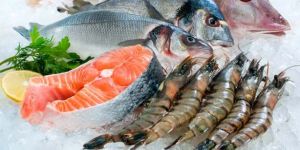 Frozen Seafood