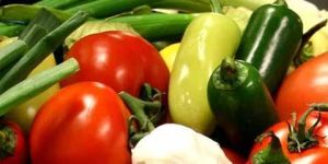 Fresh Vegetables