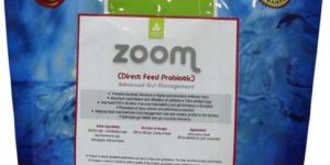 Perfect probiotics to improve animal health-hens,horses,pigs,cows