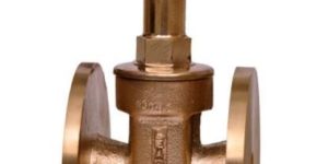 Gun Metal Gate Valve