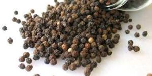 Black Pepper Seeds