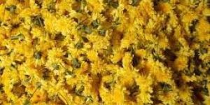 Fresh Flowers