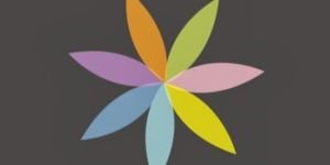 Website Design Service