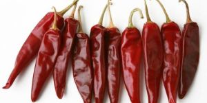 Dried Red Chili