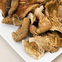Dry Oyster Mushroom