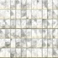 Designer Ceramic Wall Tiles