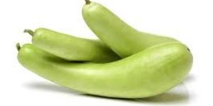 Fresh Bottle Gourd