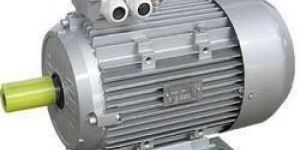 Squirrel Cage Motors