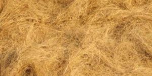 Coir Fibre