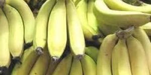 Fresh Banana