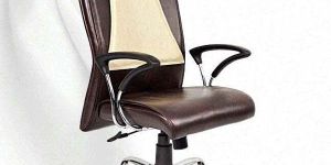 Revolving Designer Office Chairs