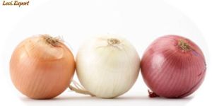 Dehydrated White Onion