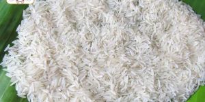 Non Basmati Rice