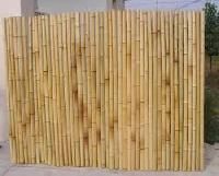 Bamboo Fencing