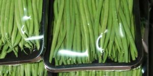 Fresh Green Beans