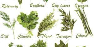 Natural Herbs
