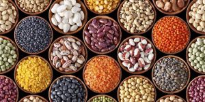 Indian Pulses