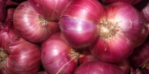 Red Onion