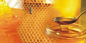 Raw Honey
