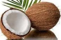 Fresh Coconut