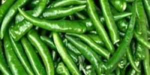 Fresh Green Chilli
